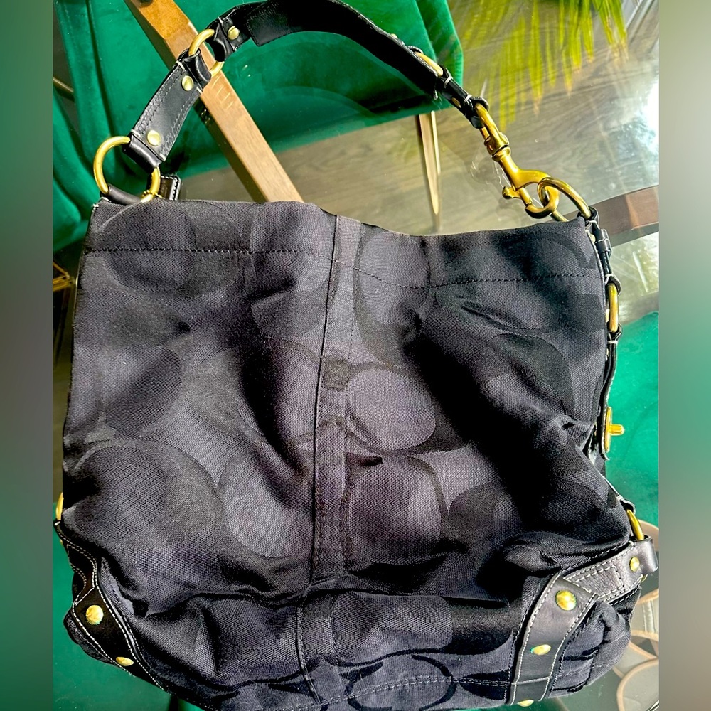 Like New Coach Carly Hobo Bag